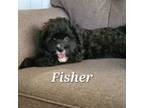 Fisher