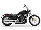 2020 Harley-Davidson Softail® Standard