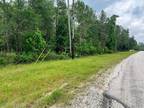 Plot For Sale In Huntsville, Texas