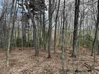 Plot For Sale In Dover, Vermont