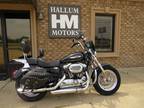 2013 Harley-Davidson Sportster 1200 Custom 110th Anniversary Edition -