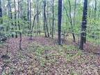 Plot For Sale In Rutherfordton, North Carolina