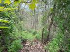 Plot For Sale In Asheville, North Carolina