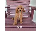 Max