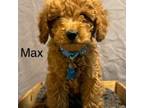 Max