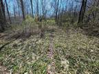 Plot For Sale In Woodhull, New York