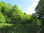 Plot For Sale In Petoskey, Michigan