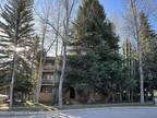 Condo For Sale In Aspen, Colorado