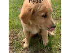 Ryder