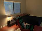 Roommate wanted to share 2 Bedroom 2.5 Bathroom Condo...