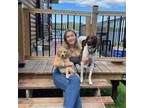Experienced and Reliable Pet Sitter in St. John's, NL - $30 Daily