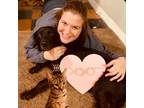 Experienced St. Cloud Pet Sitter Offering Reliable and Affordable Services