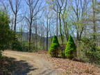 Land for Sale by owner in Burnsville, NC