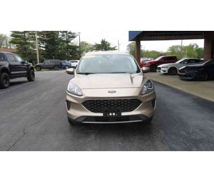 2021UsedFordUsedEscapeUsedFWD is a Gold 2021 Ford Escape Car for Sale in Clinton IL
