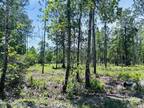 Plot For Sale In Palatka, Florida