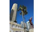 Condo For Sale In Miami, Florida