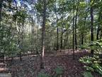 Plot For Sale In Ellijay, Georgia