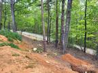 Plot For Sale In Mill Spring, North Carolina