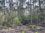 Plot For Sale In Carrabelle, Florida