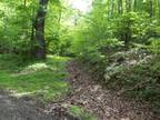 Plot For Sale In Fries, Virginia