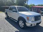 2010 Ford F-150 For Sale