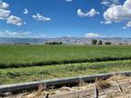 Farm House For Sale In Grand Junction, Colorado