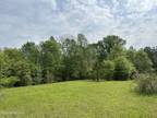 Plot For Sale In Mendenhall, Mississippi