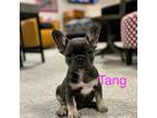 Tang