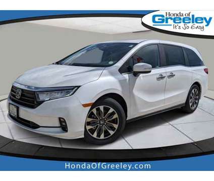 2024 Honda Odyssey EX-L is a Silver, White 2024 Honda Odyssey EX Car for Sale in Greeley CO