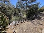 Plot For Sale In Prescott, Arizona