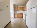 Condo For Sale In Chicago, Illinois