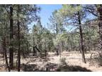 Plot For Sale In Mayhill, New Mexico
