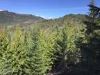 Plot For Sale In Sandpoint, Idaho