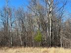 Plot For Sale In Mission Creek Township, Minnesota