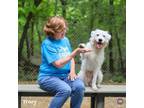 Adopt Ivory a Mixed Breed