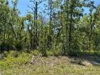 Plot For Sale In Beverly Hills, Florida