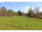 12+/- Hosea Strong Rd Chester SC Land For Sale