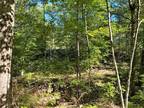 Plot For Sale In Newfield, Maine