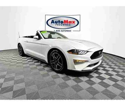 2023 Ford Mustang for sale is a White 2023 Ford Mustang Car for Sale in Marlborough MA