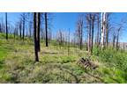 Colorado land 1.2 Acres Woods, Natural Clearings