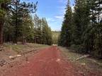 Northern California Land for Sale, 0.91 Acres, Wooded