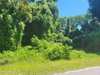 Plot For Sale In Georgetown, Florida