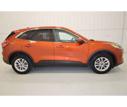 2020 Ford Escape SE is a Orange 2020 Ford Escape SE SUV in Canfield OH