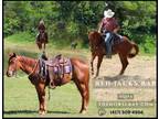 Meet Red Jacks Sorrel AQHA Gelding - Available on [url removed]