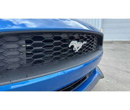 2019 Ford Mustang for sale is a Blue 2019 Ford Mustang Car for Sale in Zachary LA