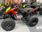 2024 Honda TRX250X