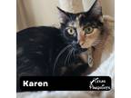 Adopt Karen a Calico or Dilute Calico Calico (short coat) cat in Dallas