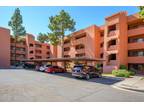 Flat For Sale In Phoenix, Arizona