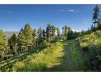 Plot For Sale In Bozeman, Montana