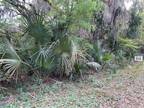 Plot For Sale In Citra, Florida